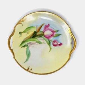 T&V Limoges Cookie Plate Hand Painted By Pickard 