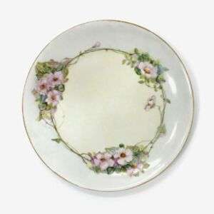 Hutschenreuther Selb Bavaria Hand Painted Plate