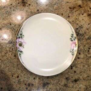 Hand Painted Bavarian Porcelain Plate