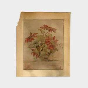 Poinsettia Watercolor Painting Xmas 1941
