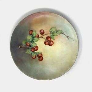 Johann Haviland Bavaria Germany Hand Painted Porcelain Plate