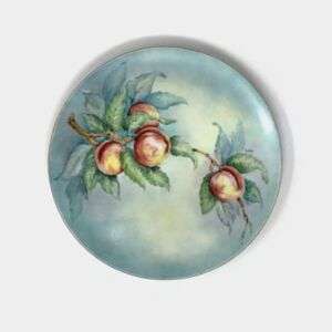 Johann Haviland Bavaria Germany Hand Painted Porcelain Plate