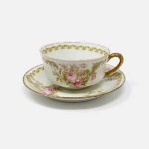 Haviland Limoges Schleiger Pink Roses Porcelain Tea Cup And Saucer