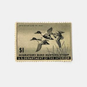 1945 $1 Federal Duck Stamp - Shoveller Ducks