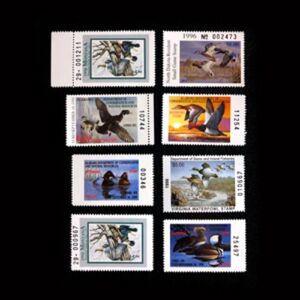 Collectable State Hunting Conservation US Stamps